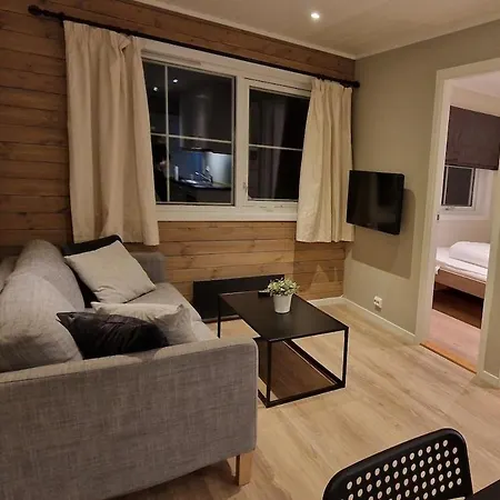 Newly Renovated Gautefall Apartment Drangedal