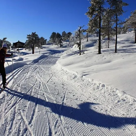 公寓 Newly Renovated Gautefall Drangedal