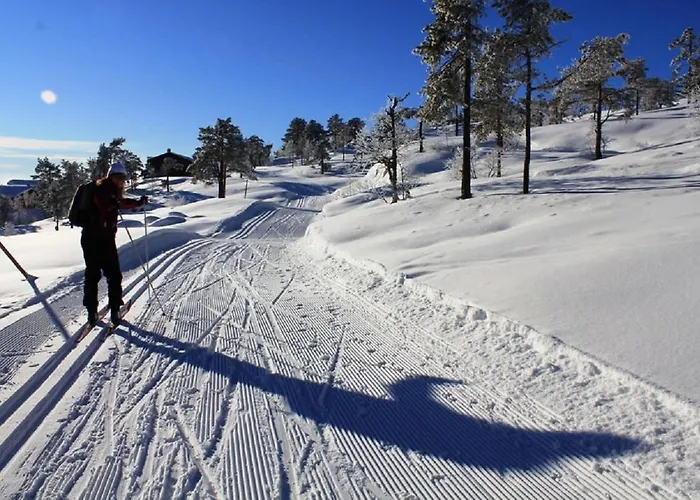 Apartamento Newly Renovated Gautefall Drangedal