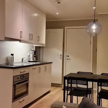 Newly Renovated Gautefall Lägenhet *